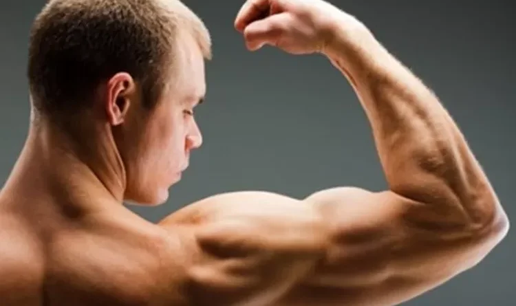 Cara Meningkatkan Massa Otot